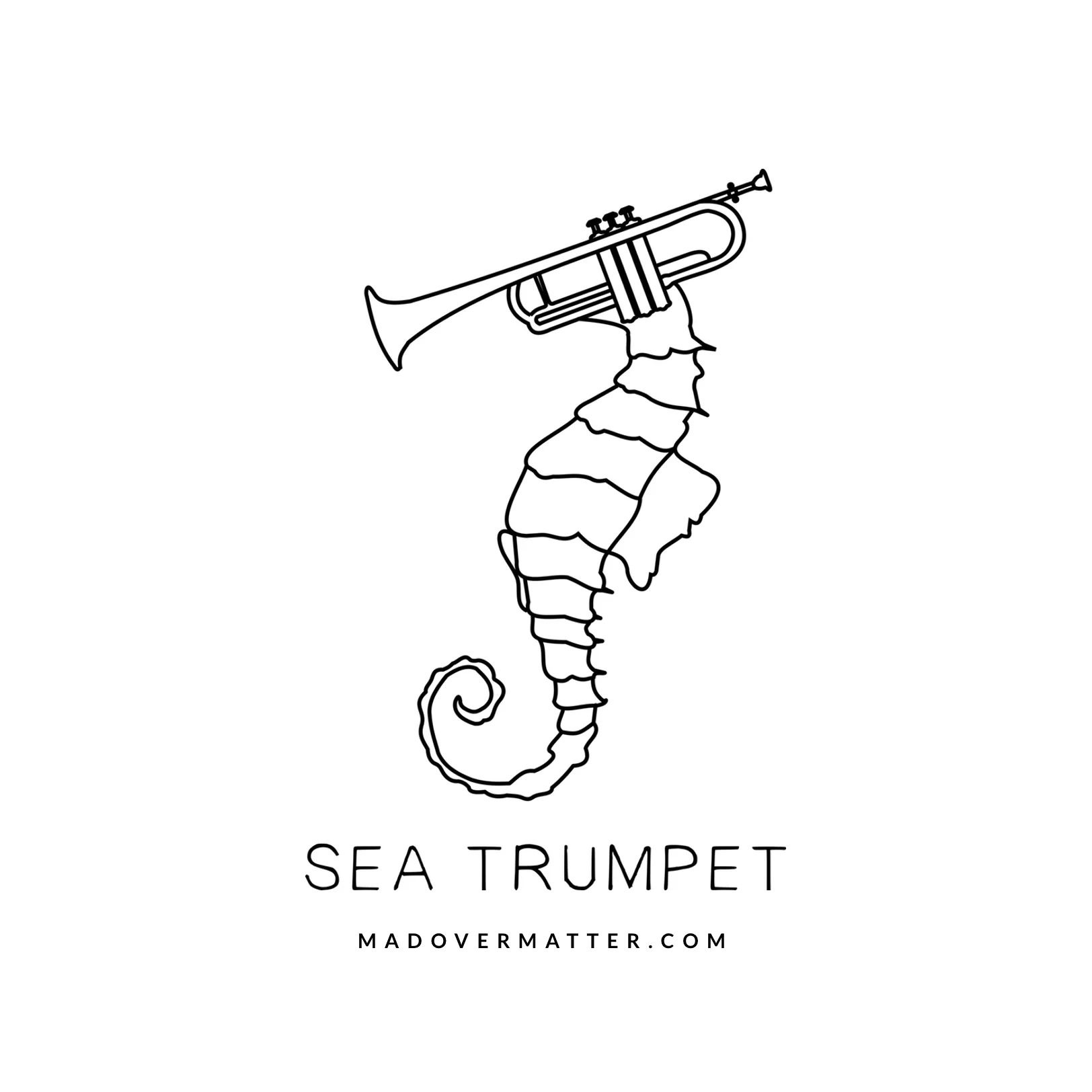 Sea trumpet.jpg