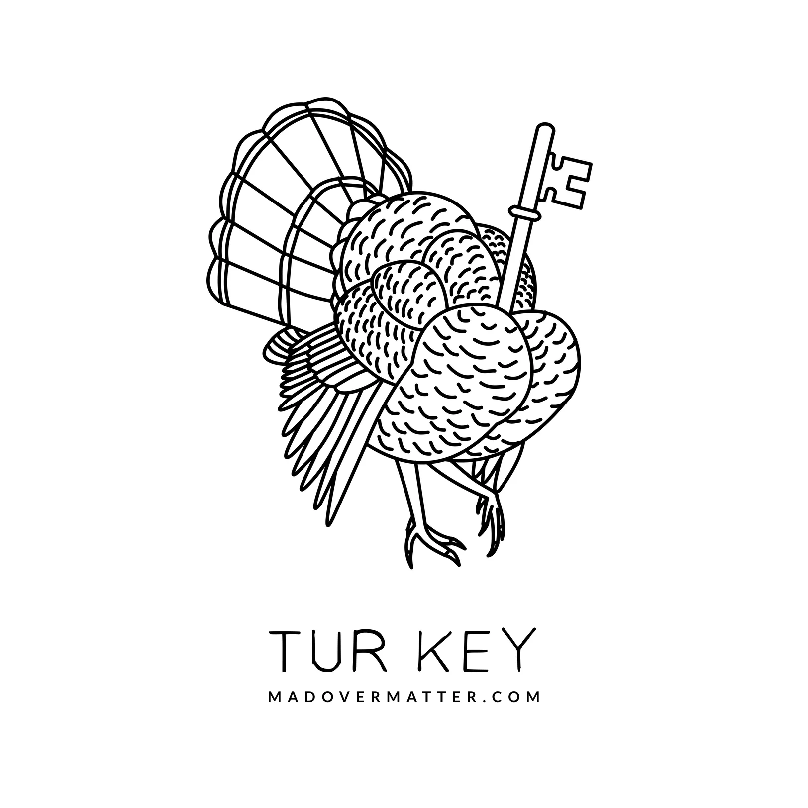 Tur key.jpg
