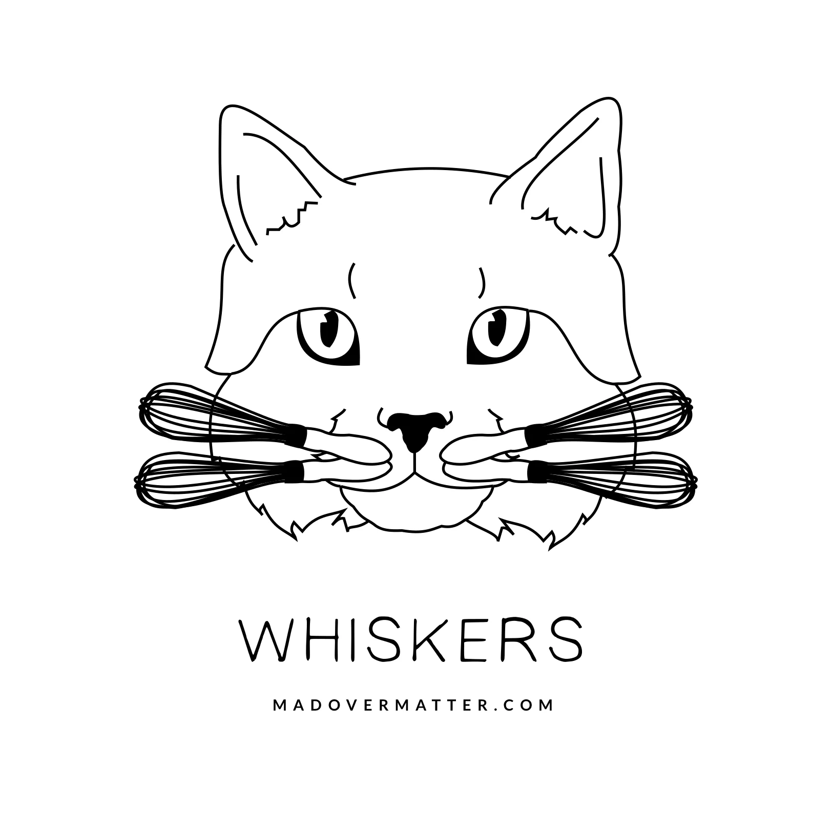 Whiskers.jpg