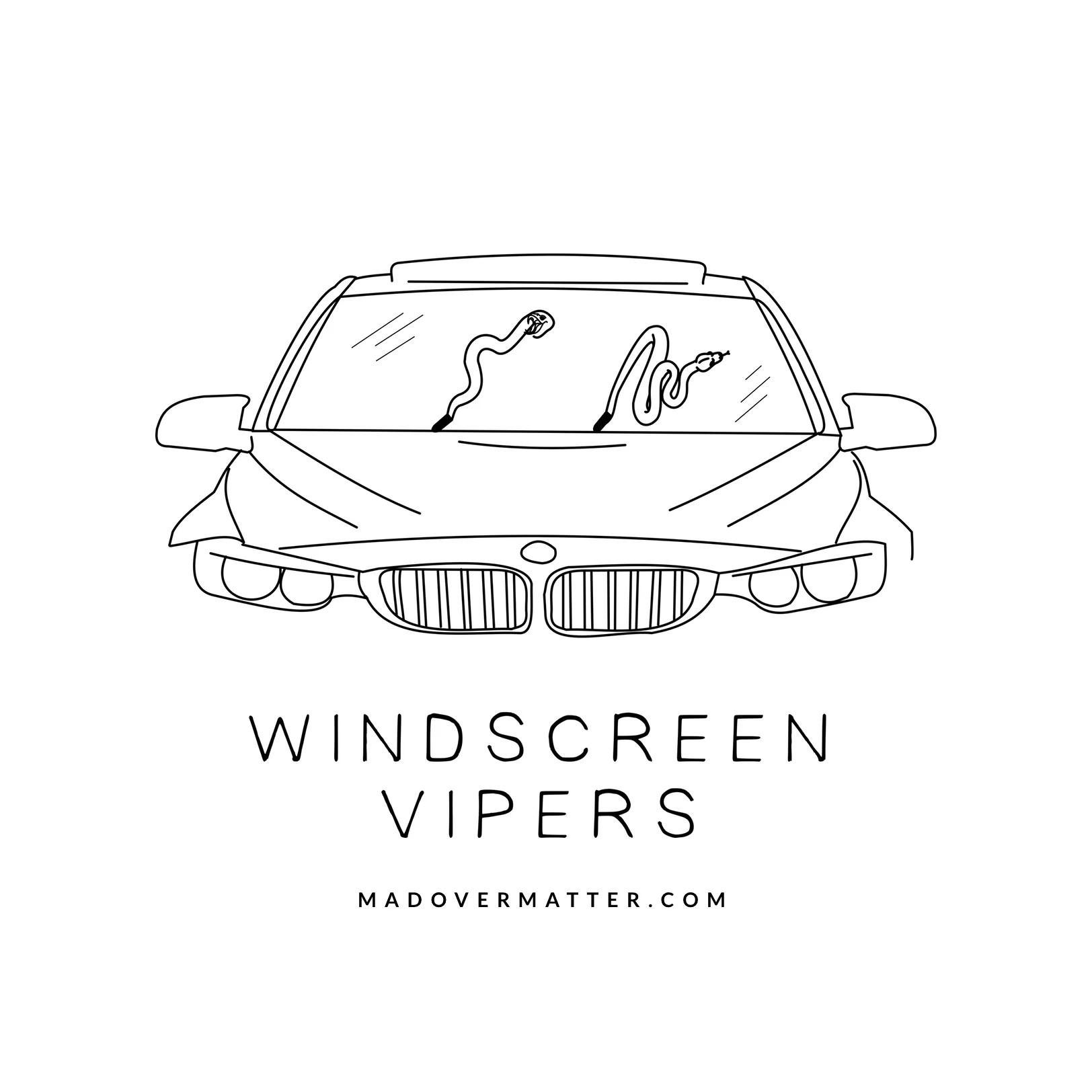 Windscreen vipers.jpg