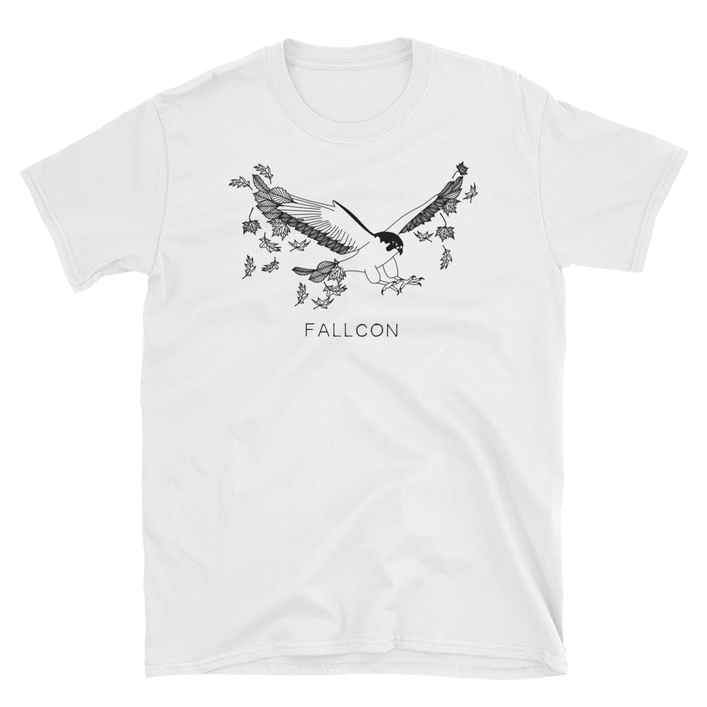 Fallcon