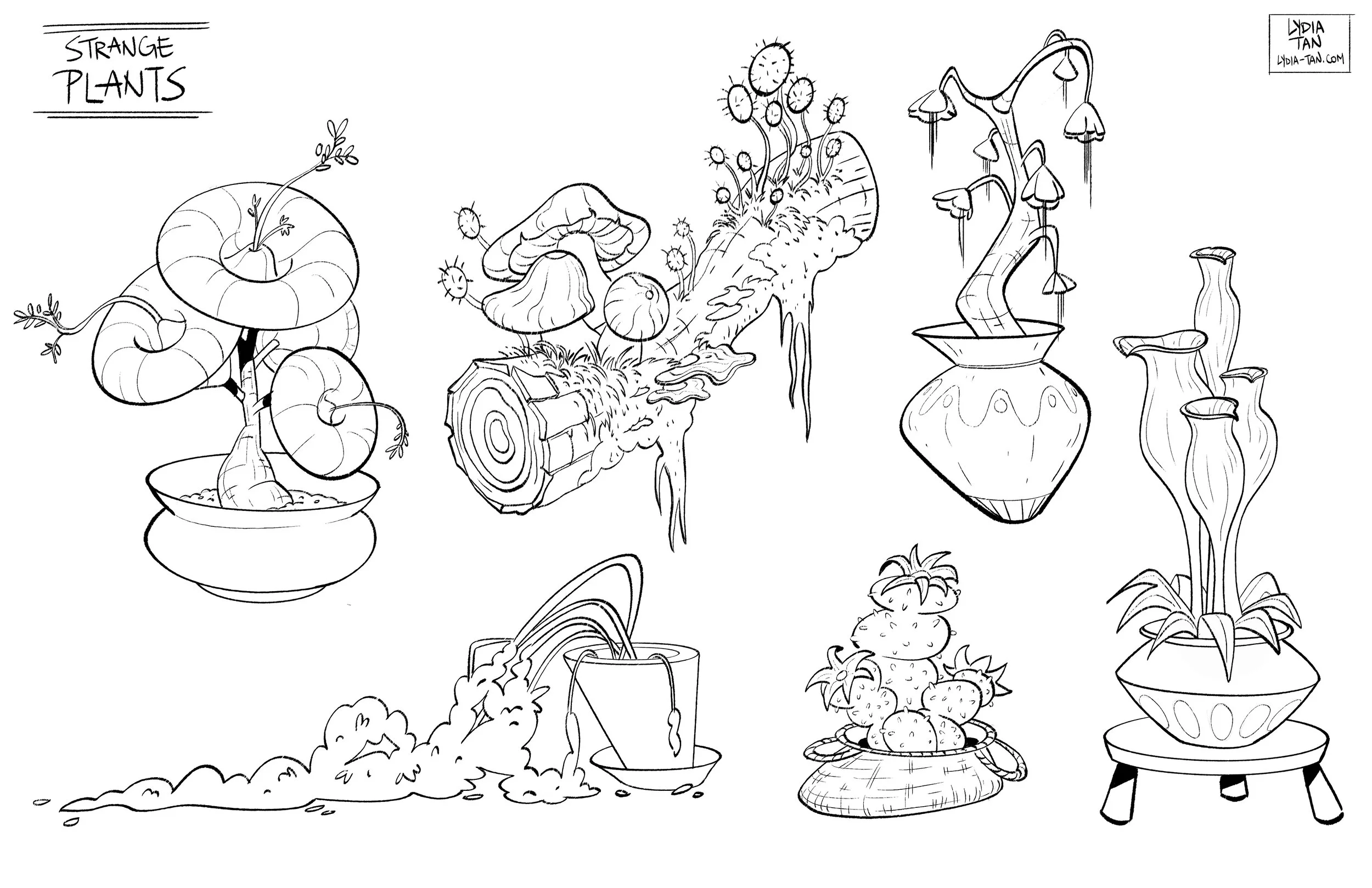 plant_props2.jpg