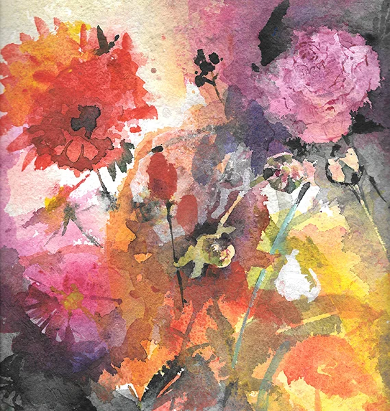 1 Asters .jpg