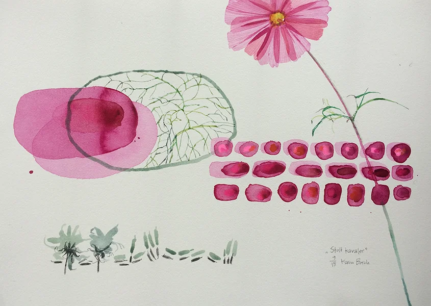 8. Stolt kavaler.jpg