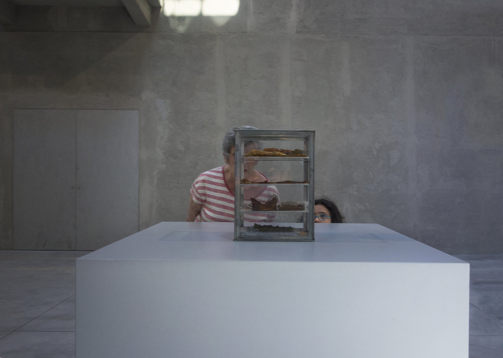   Fondazione Prada. Test n°2  