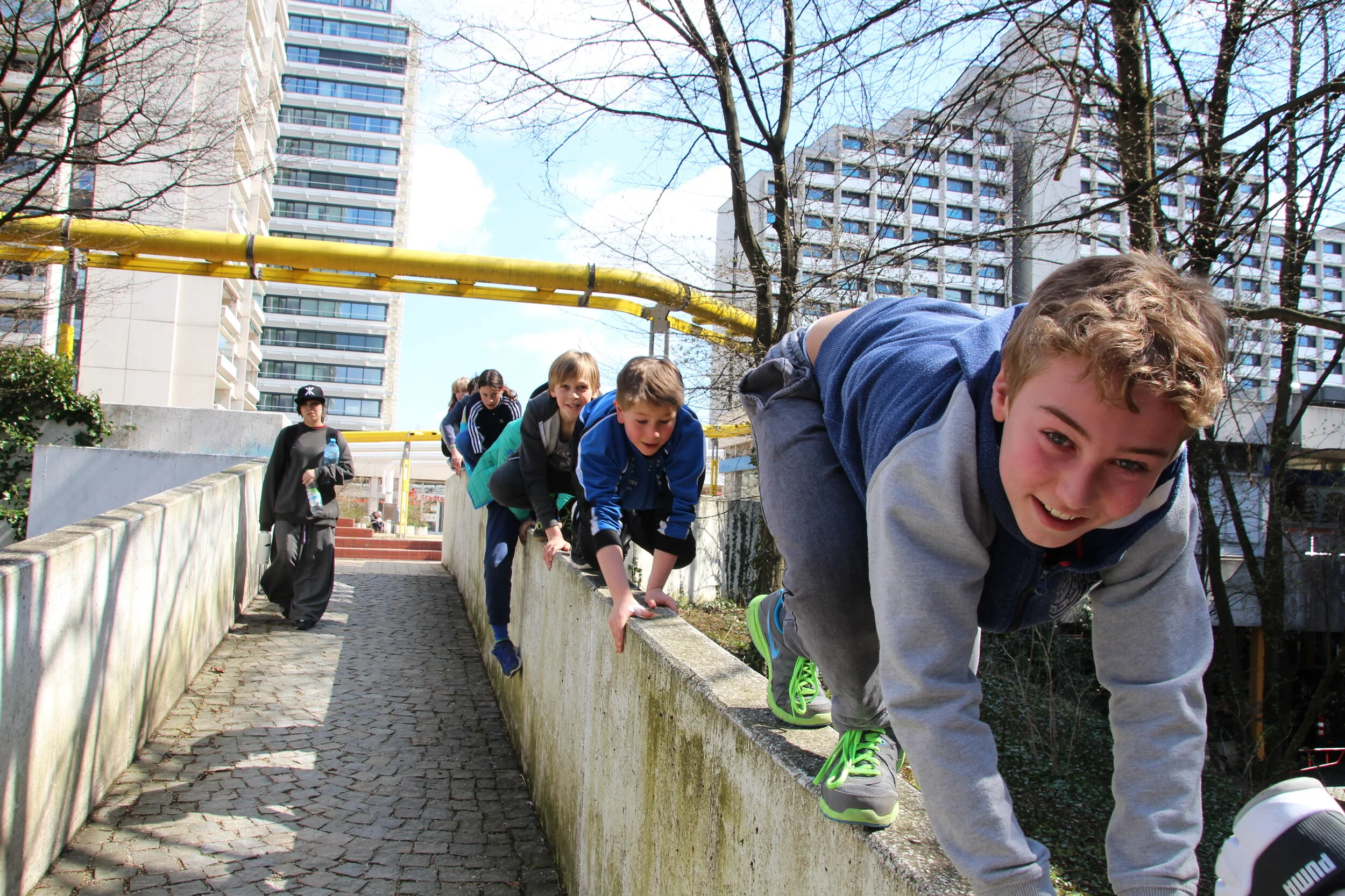 animalwalk-auf-mauer.jpg