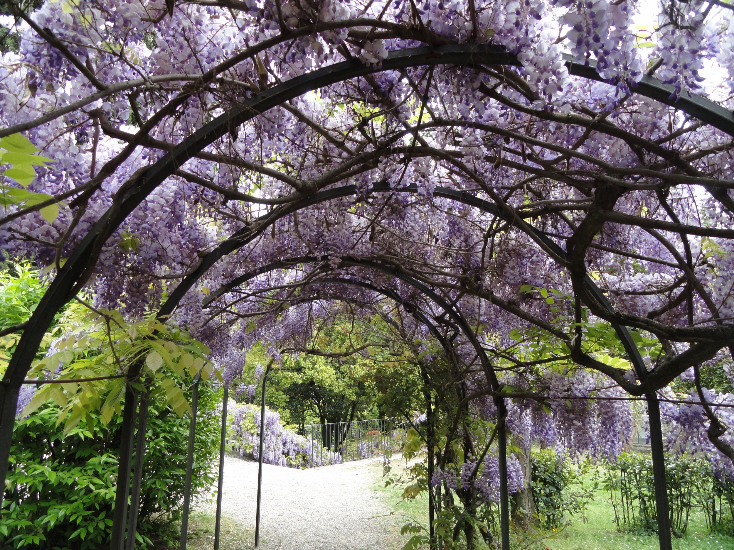Vittoriale_degli_italiani_-_DSC01976.jpeg
