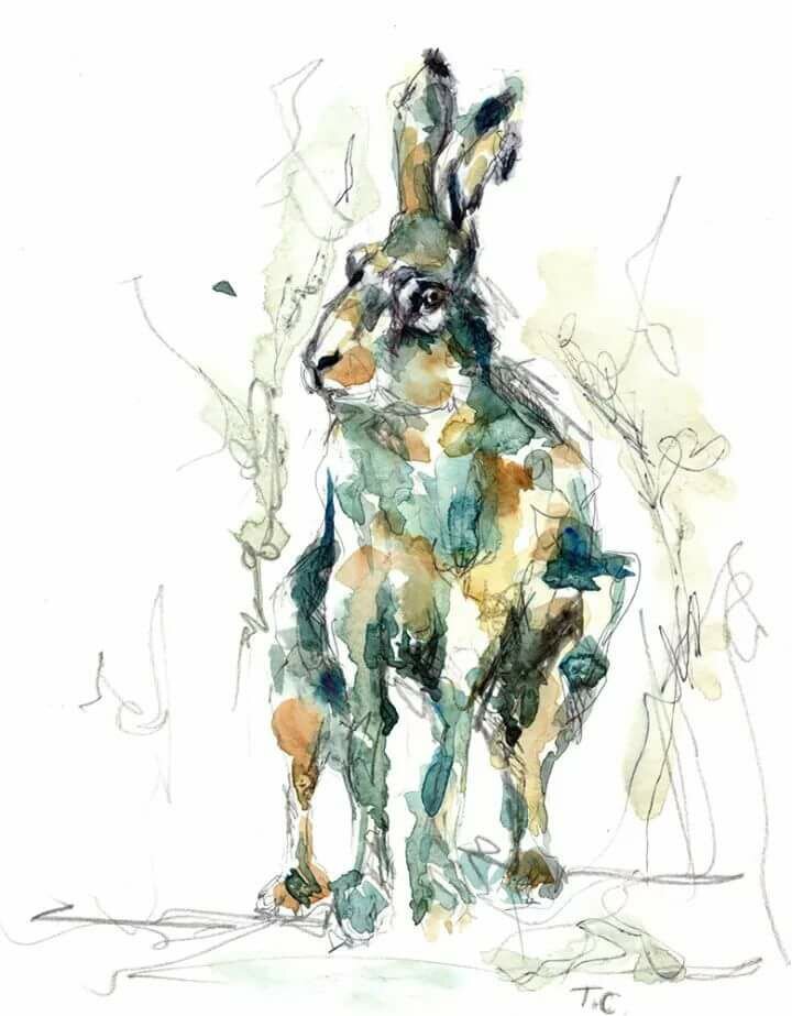 Blue Hare.jpg