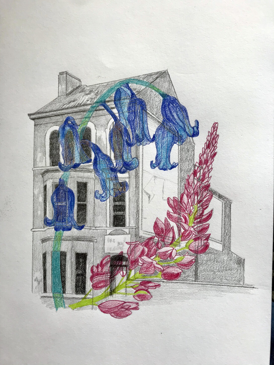 Reimagining the City - Transparent Drawing (WW)
