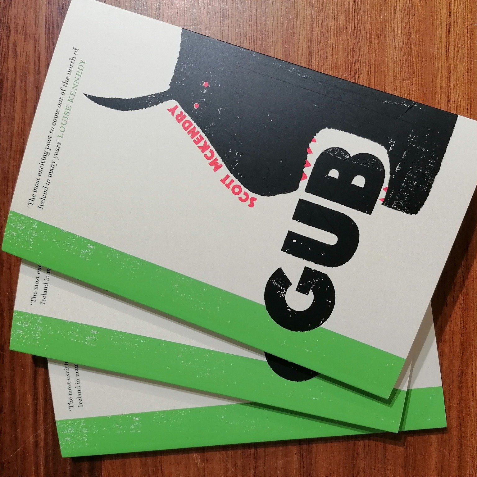 Scott McKendry&rsquo;s debut book of poetry, GUB, is now available to buy in the Duncairn&rsquo;s craft shop.  Scott is a friend of the Duncairn&rsquo;s having performed his works for us, both online during lockdown and recently in the centre. We&rsq
