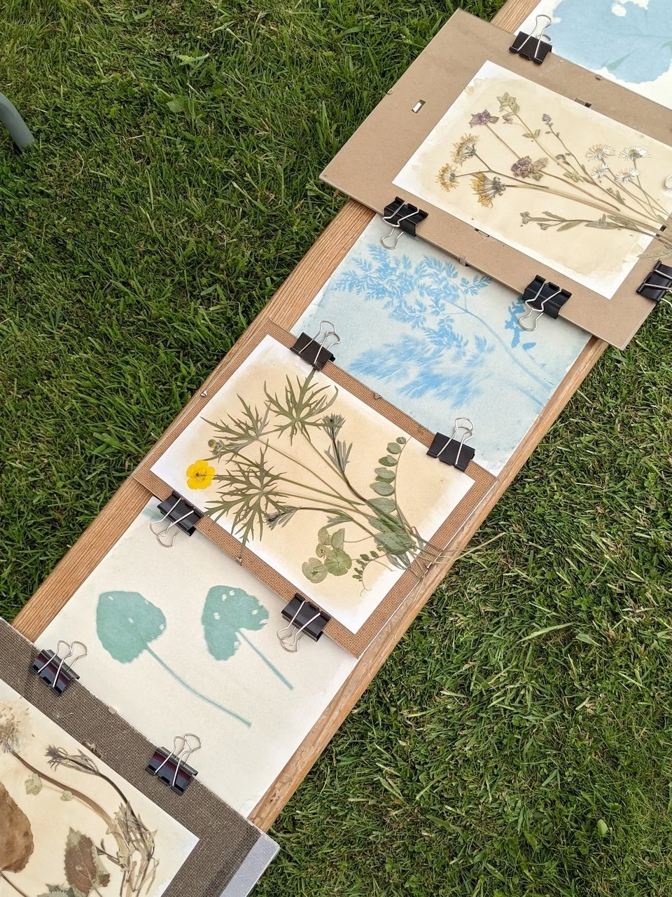 Eco-Photography with Kasia Ní Bhraonáin