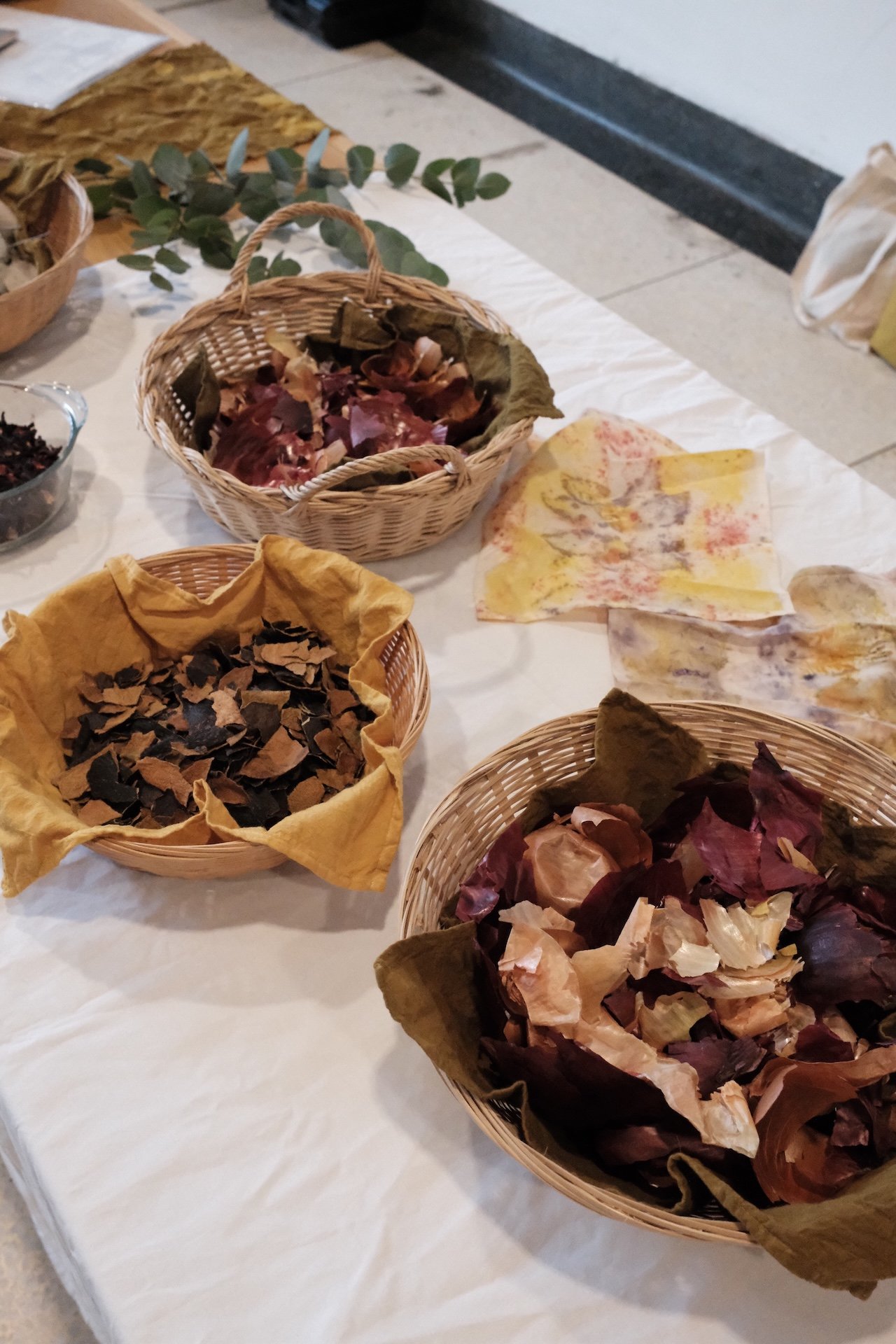 Discover Food Waste Dyes with Fiona Nicholson