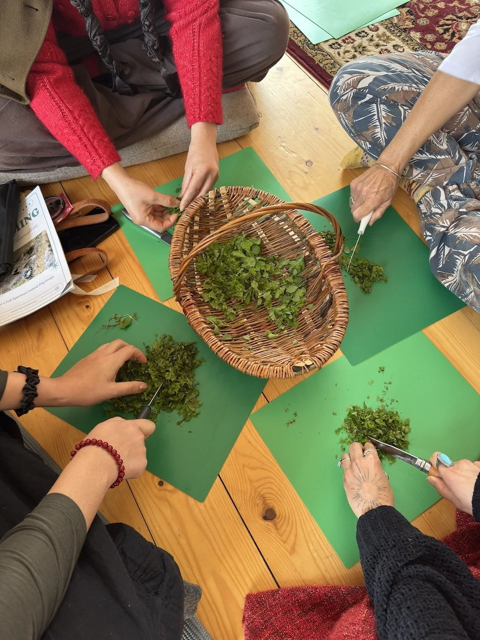Winter Wellness Workshop with Leasha Hogan (One-Day Class)