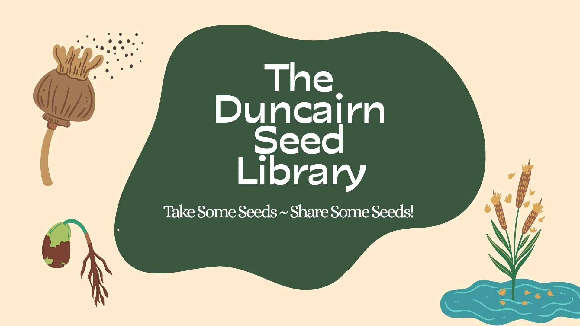 Duncairn Seed Library + Seed Saving Workshops 