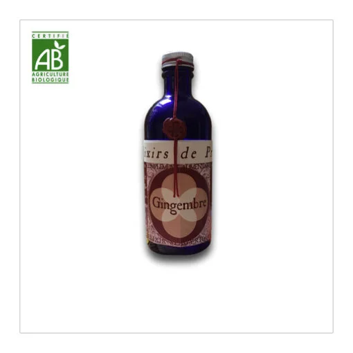 Gingembre.jpeg