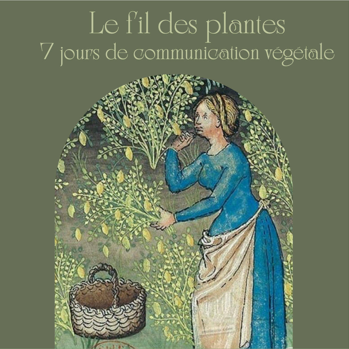 Protocole de communication végétale inspiré de l’alchimie végétale et de la spagyrie