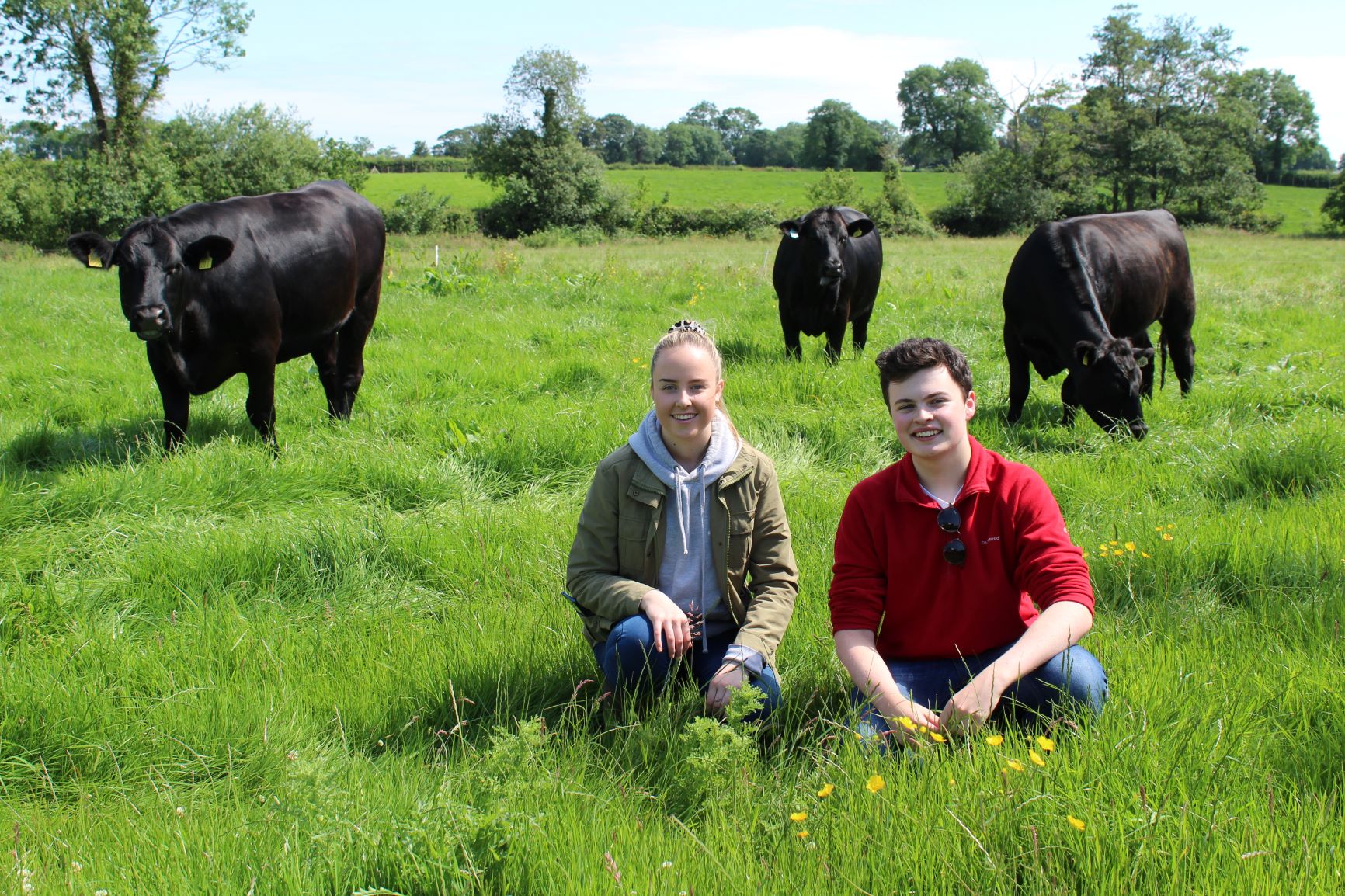 ABP Angus Youth helping to bring beef production to the Big City