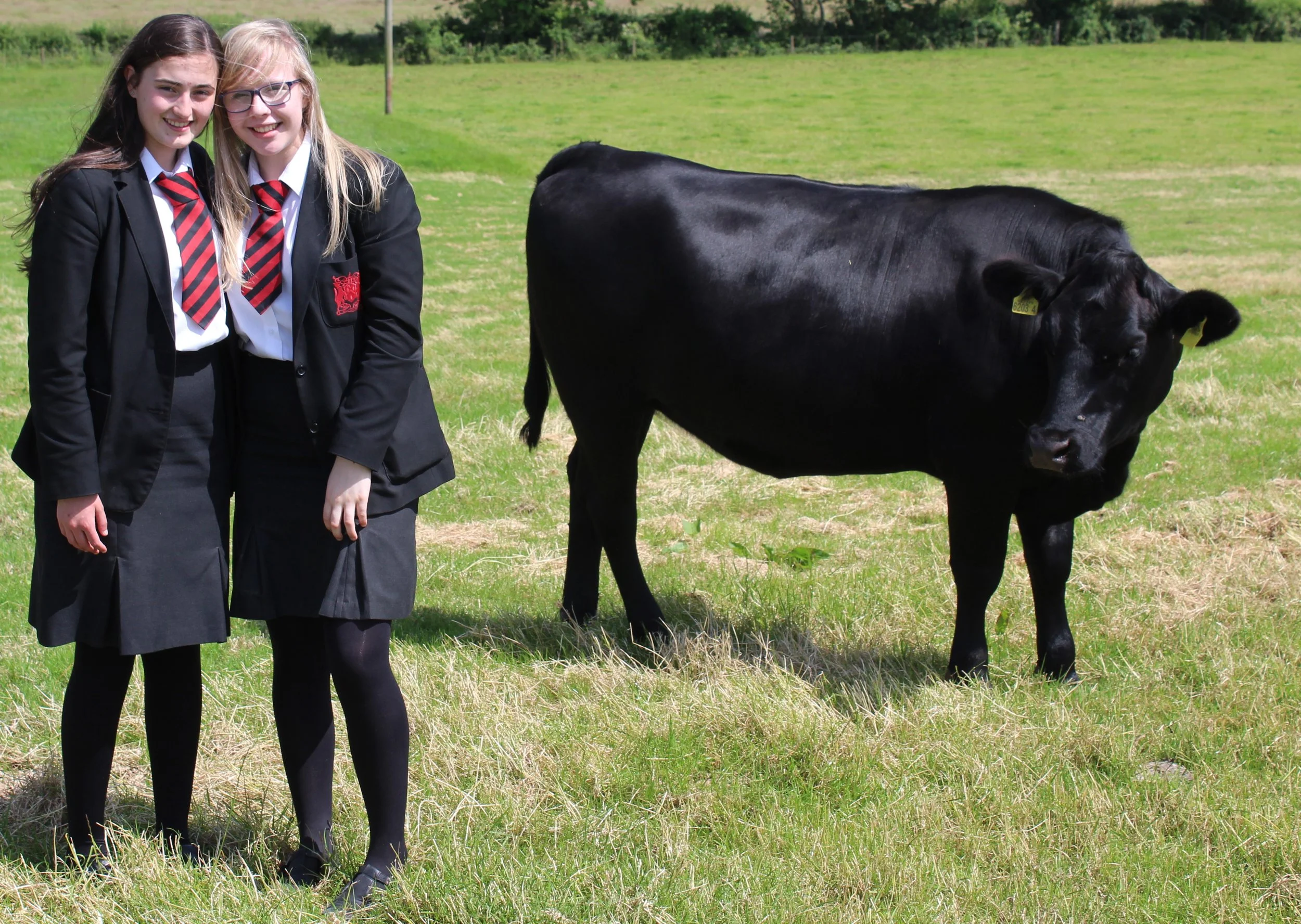 Mid-Ulster school champions Women in Agriculture