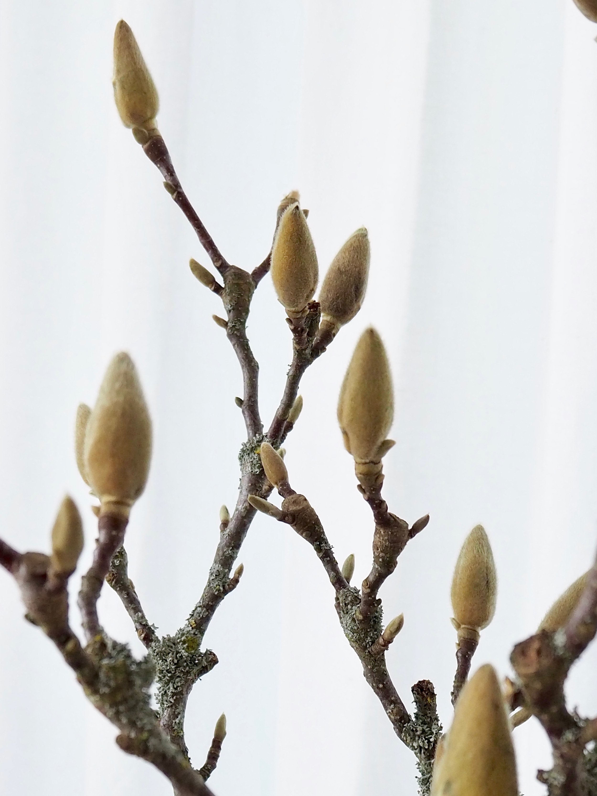 Nature is my inspiration through all seasons :) photo by me