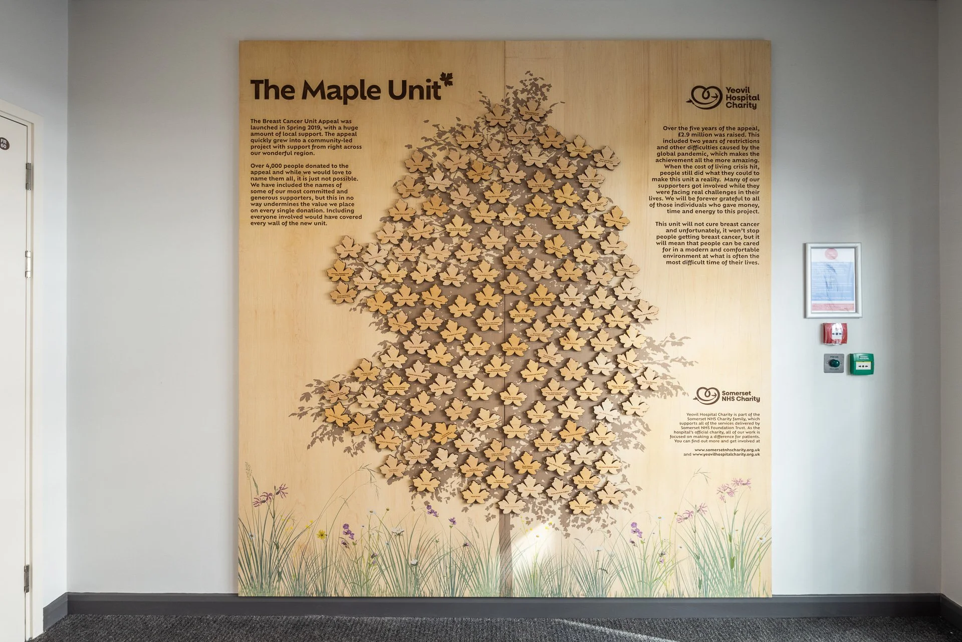 Maple Unit Yeovil Hospital_LowRES_62.jpg