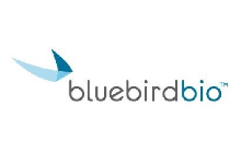 BlueBird.png