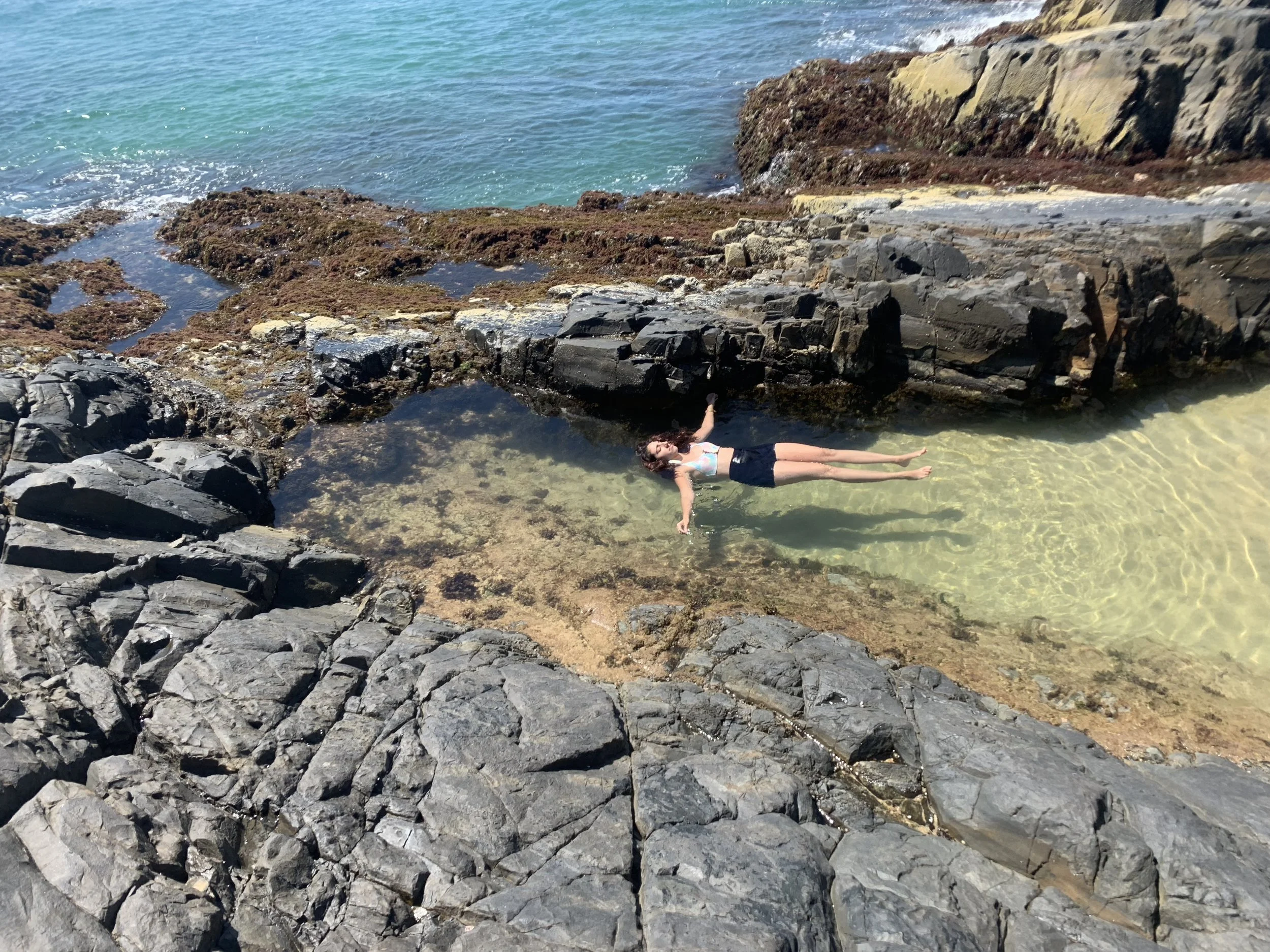 Exploring Australia: Road Trip from Gold Coast to Cairns