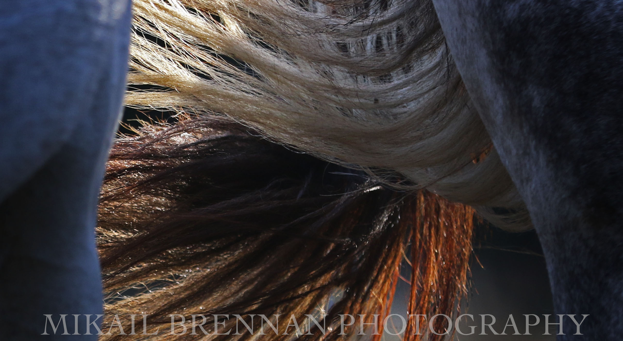Tail Colour.jpg