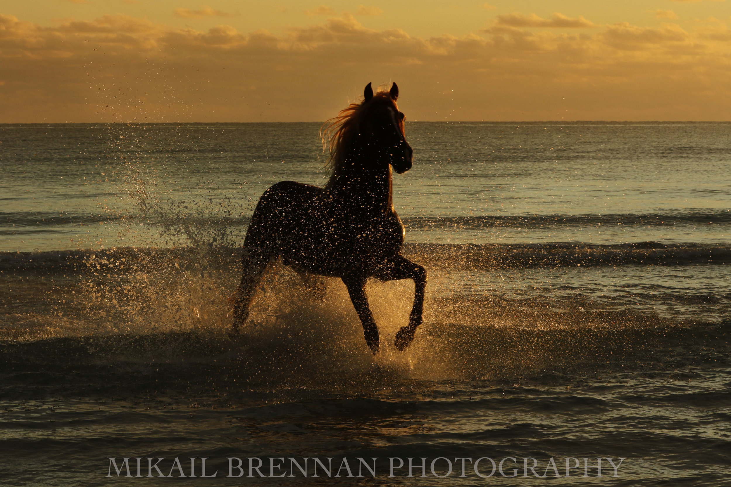 Sunrise splash.jpg