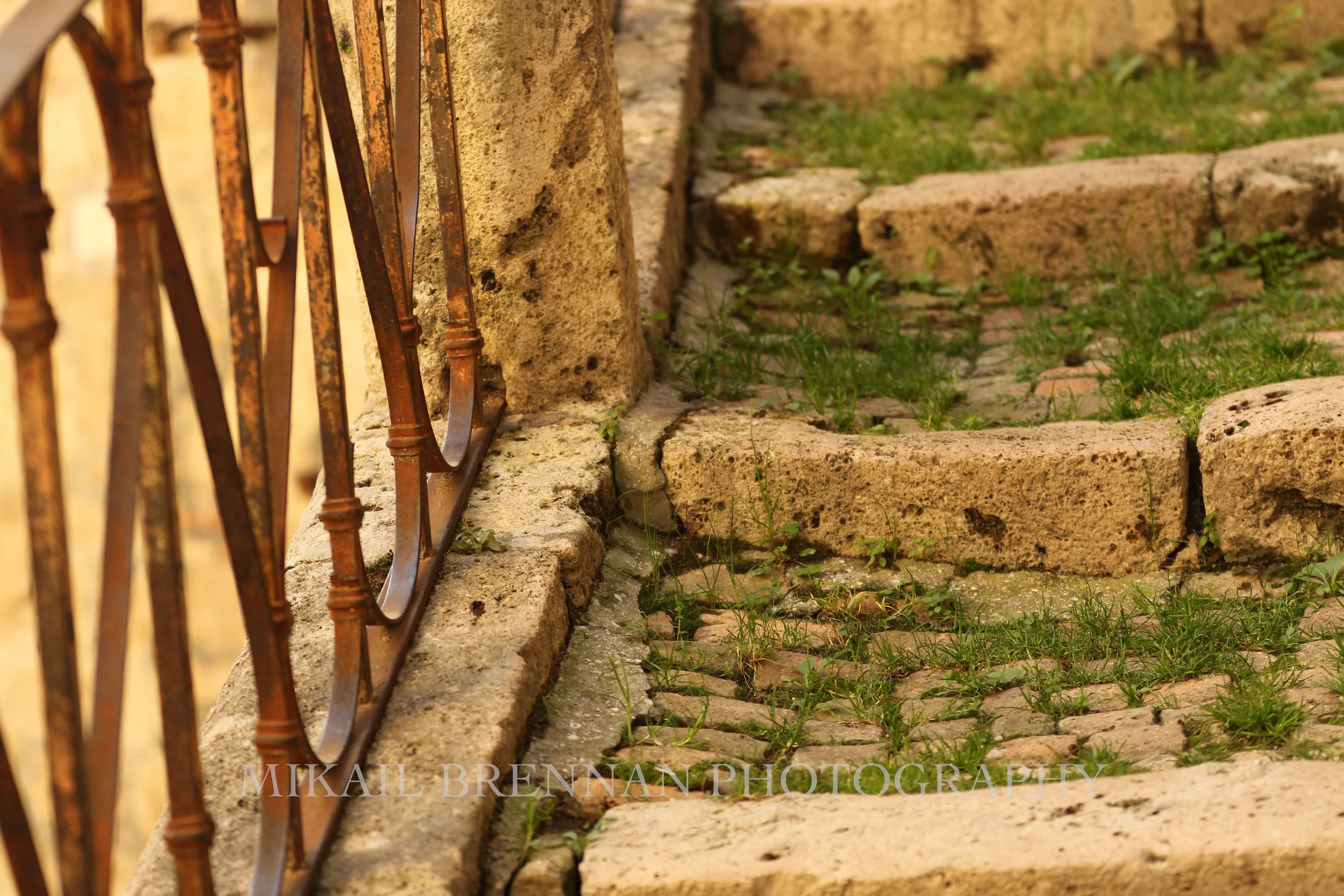 Grass steps.jpg