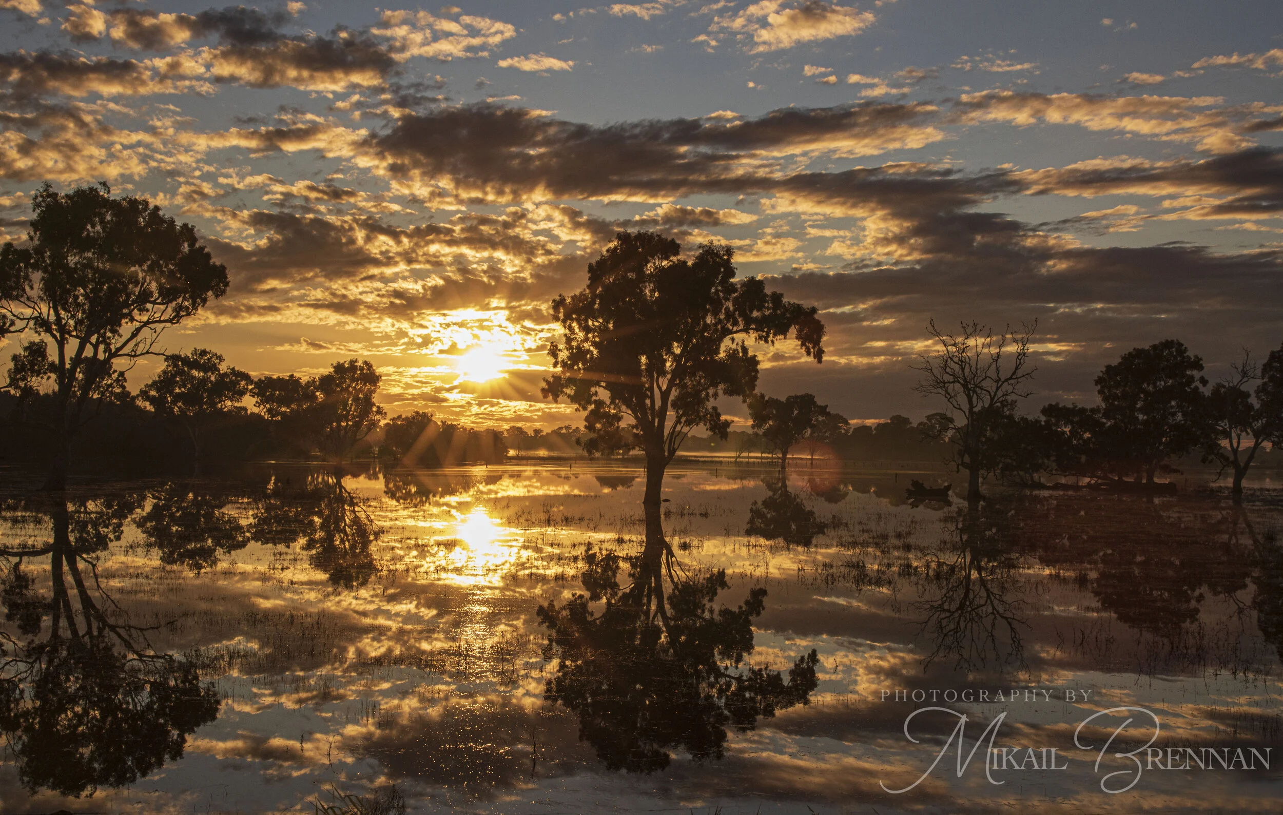 Sunrise Wetlands.jpg