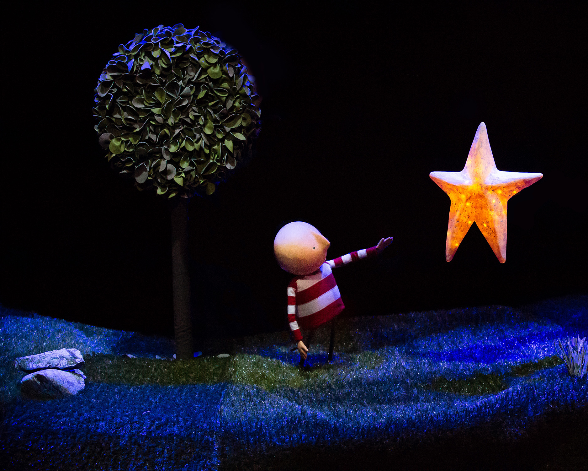001KM Boy reaching for Star Anita Murphy 1.jpg