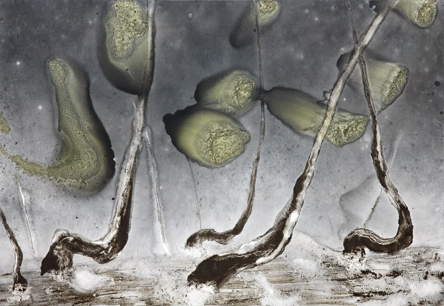 'Baciu' Mixed-media on canvas 280 x 180cm 2015