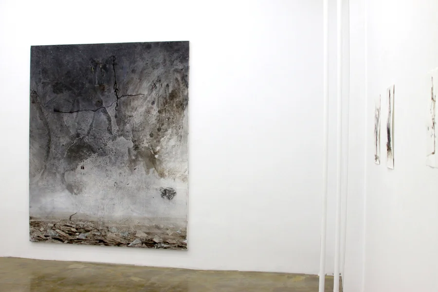 ‘Eastern Summer’ Installation view / Bazis Cluj-Napoca / RO 2013