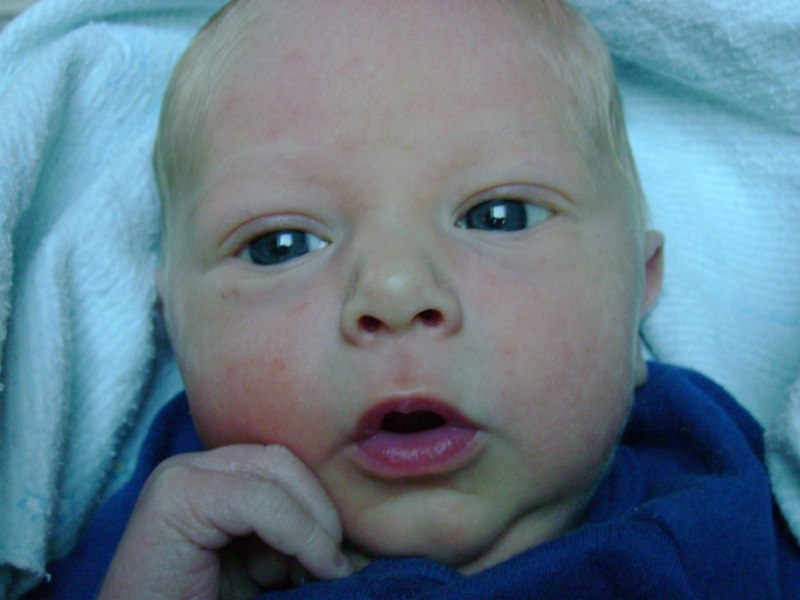Tyler William Downer