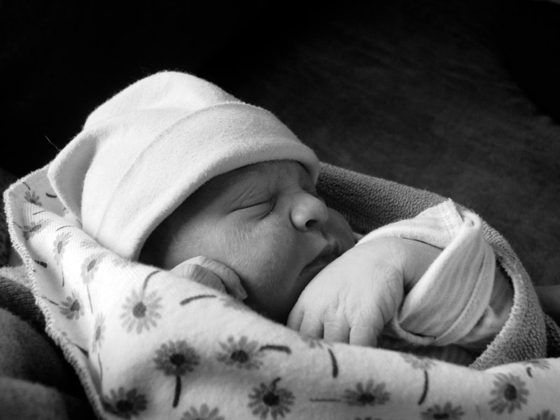 William Simon Frost