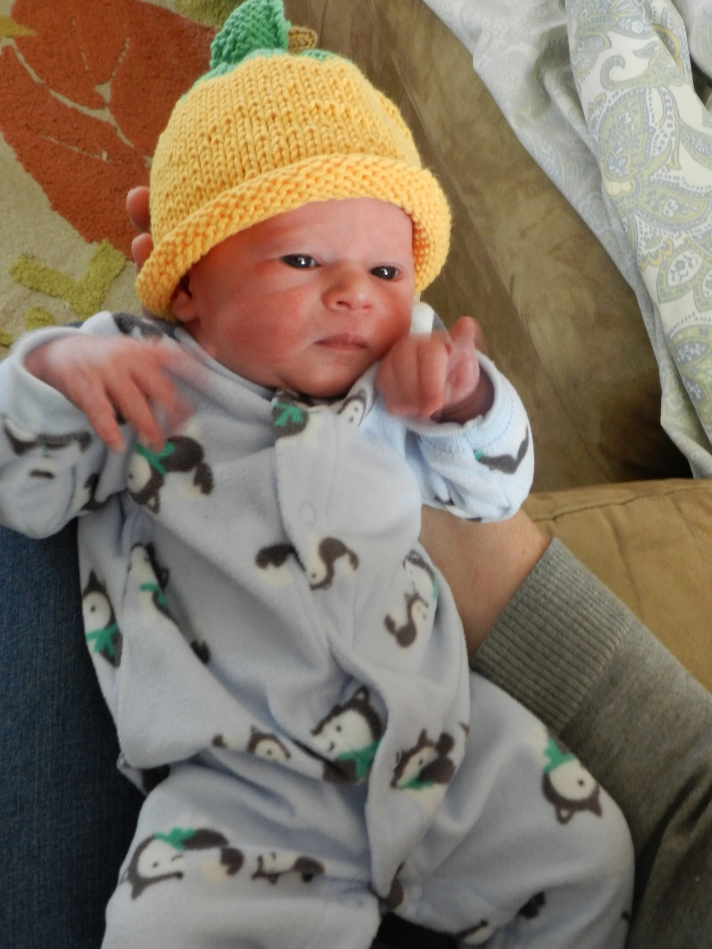 Matilda Rose Fitch