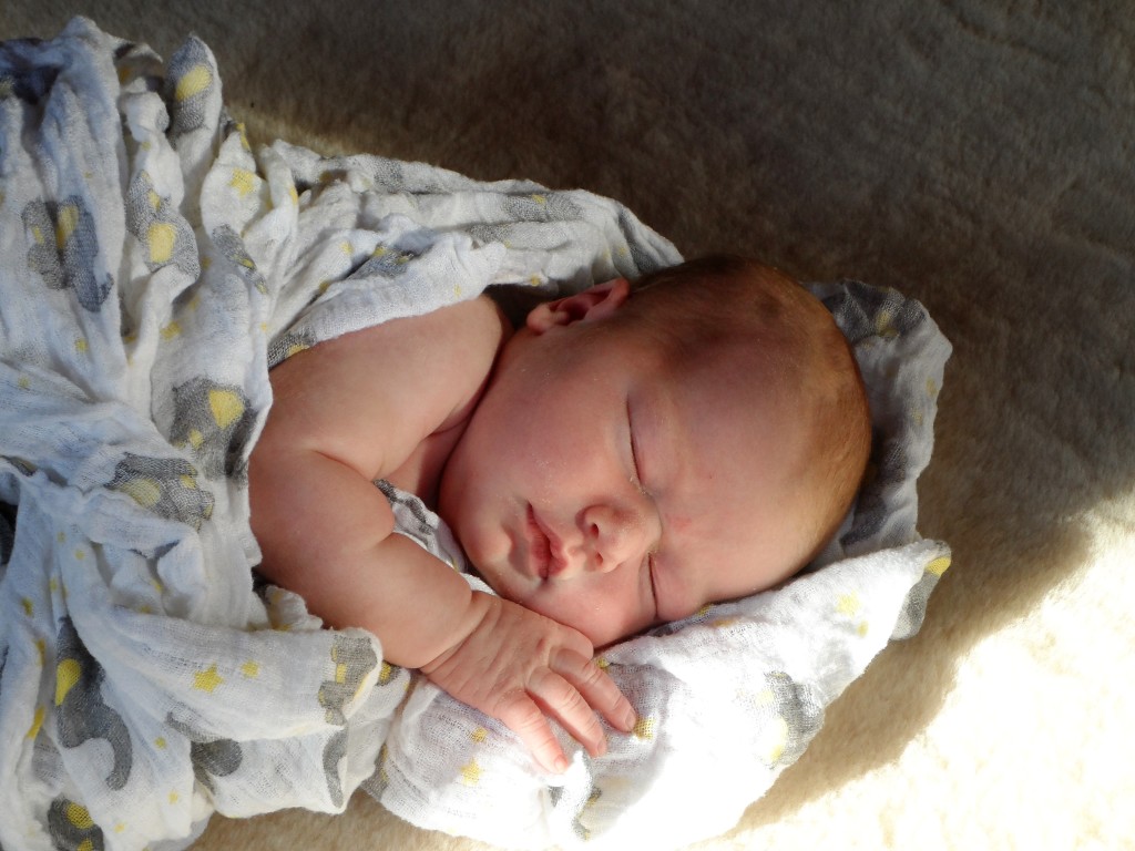 Evelyn Grace Harmon