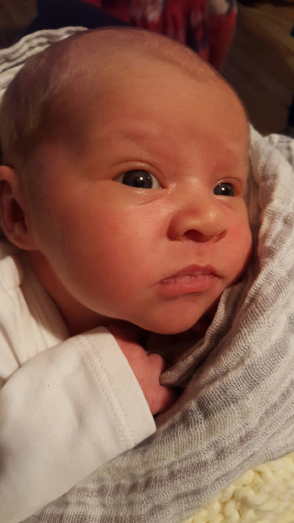 Luisa Elaine Pietila