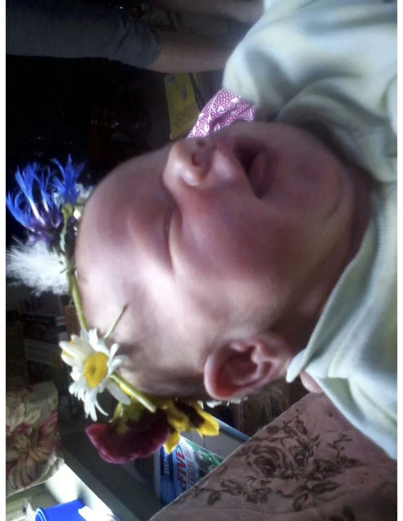 Phoebe Lillian Joy Koubek
