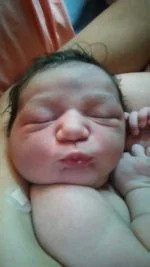 Morrigan Ovida Tamworth Lupine Brown