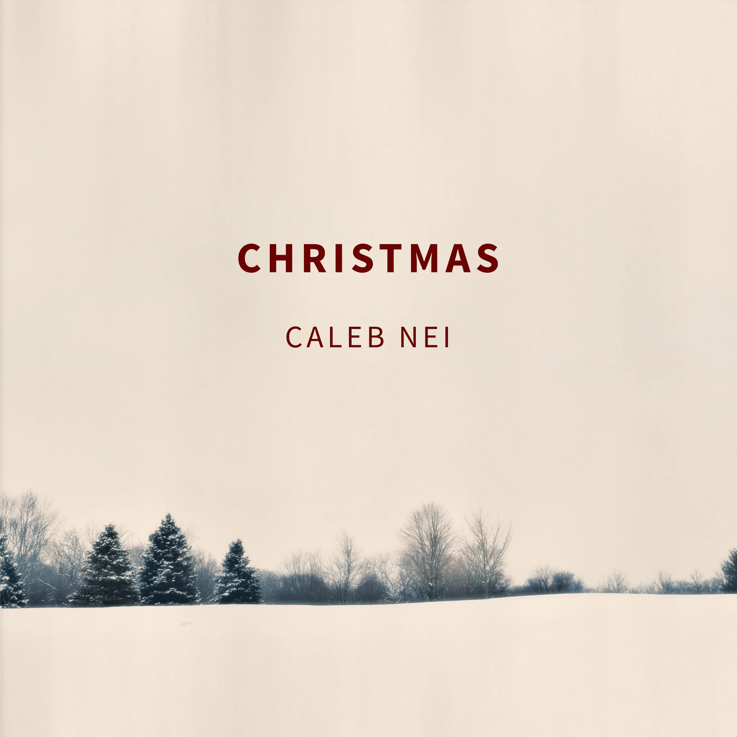 Christmas 2017 Digital Cover.jpg