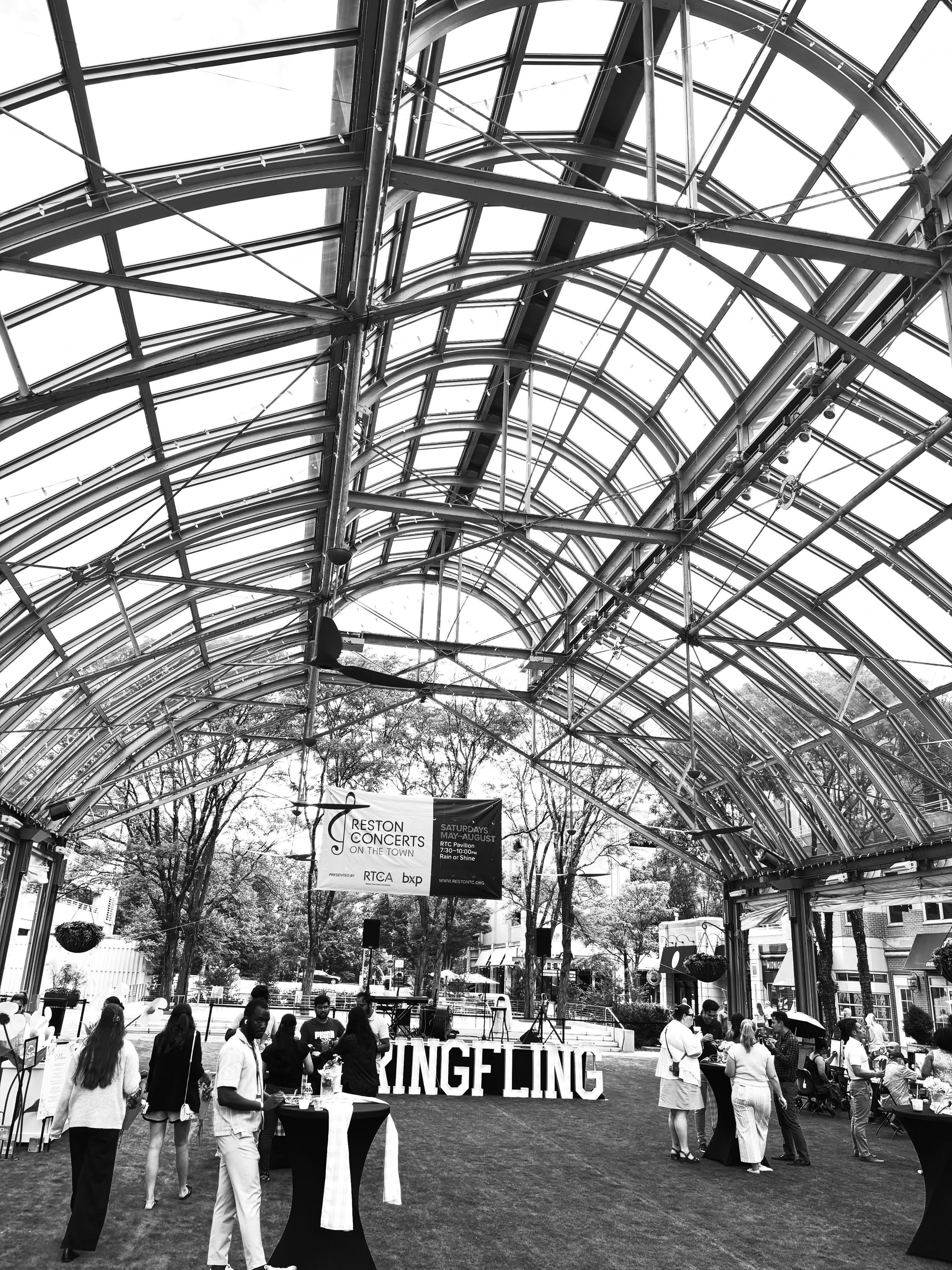 SPRINGFLING