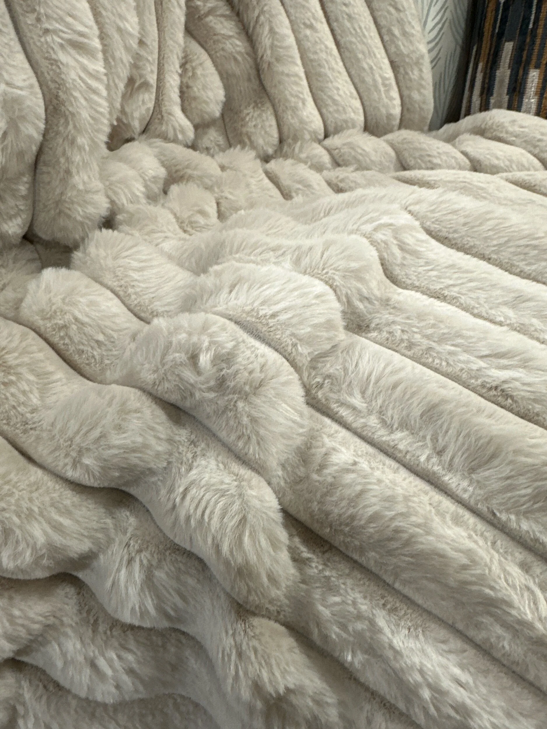 628E03DD-2886-4CE7-AF34-1FA108F0FD59 (Copy)