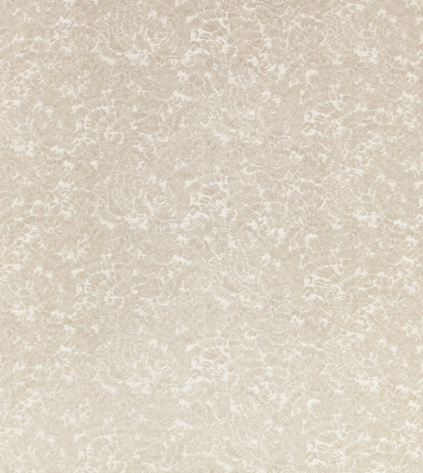 Screenshot 2025-12-13 133126.png