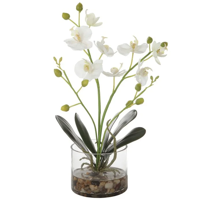 Medium Orchid Centre Piece