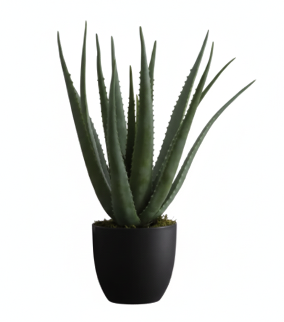 Faux Aloe