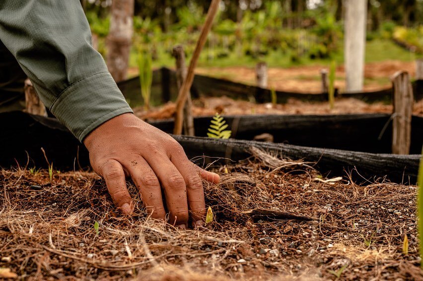 🌱 It is Earth Day! Today we cherish Mother Earth and her irreplaceable natural resources. 

This day also is an important reminder that the Earth&rsquo;s resources are under threat. 
 
🪱 While healthy soil is the basis for sustainable, productive a