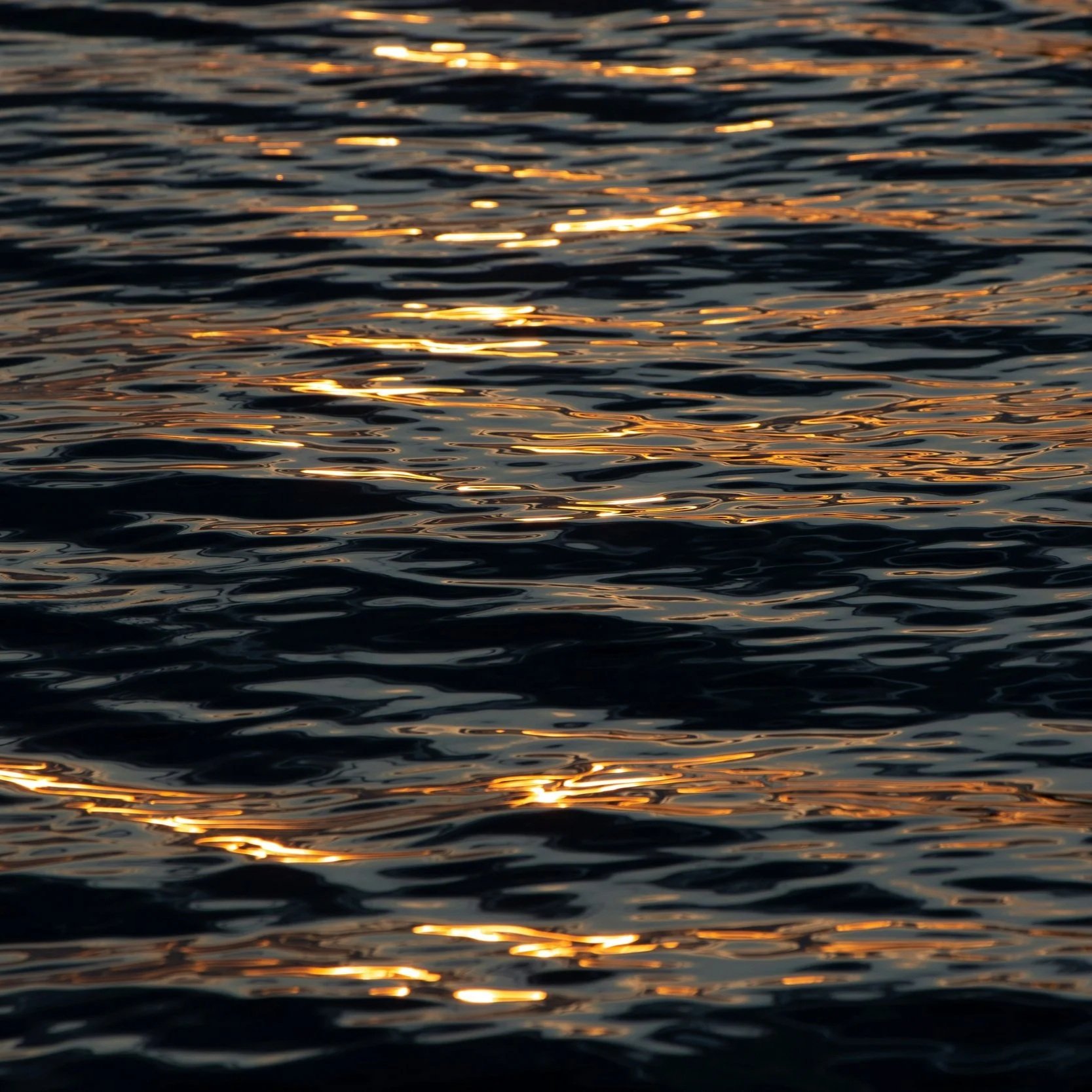 Close-up of water ripples reflecting sunlight during sunset.