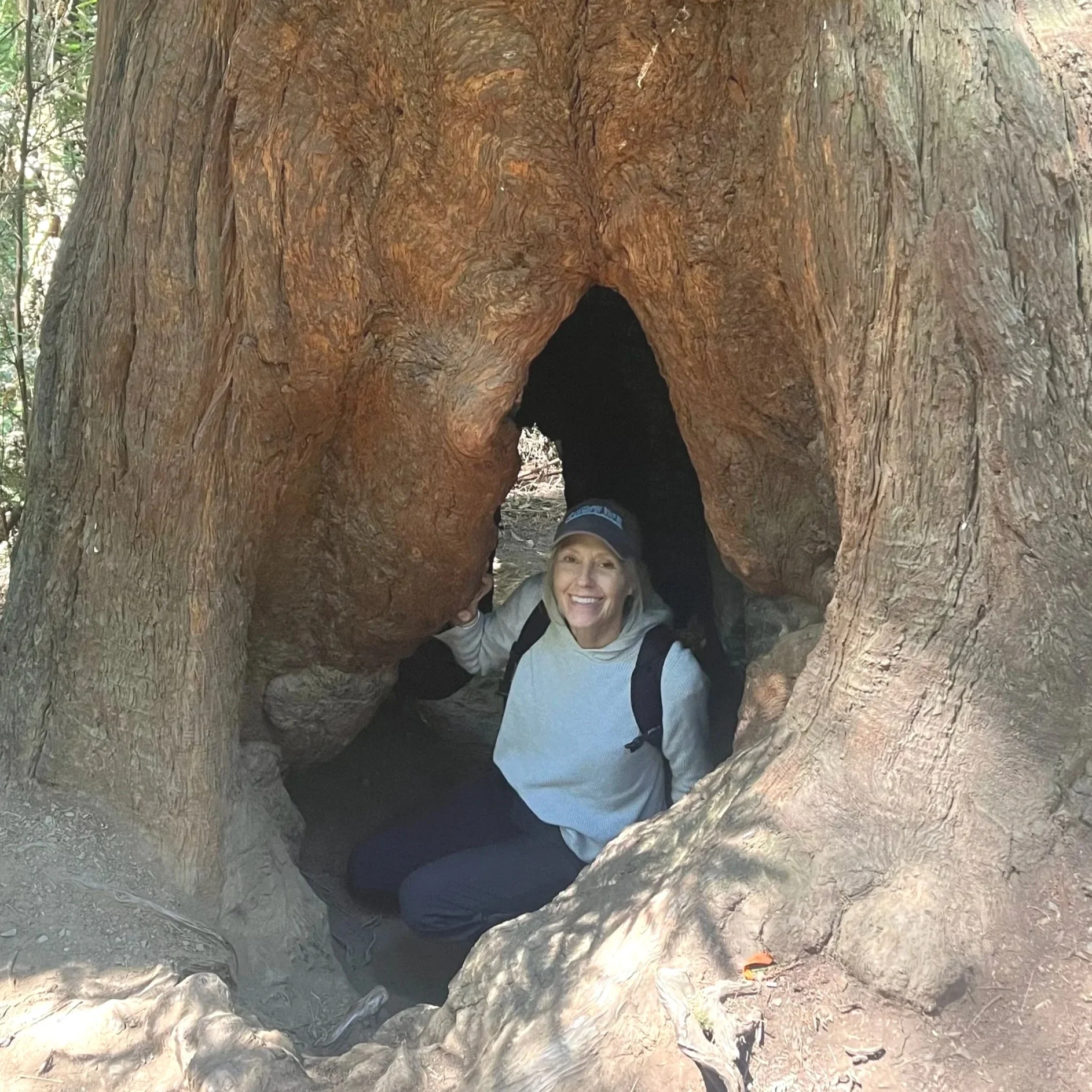 Woman smiling and sitting inside a large hollowed-out space in a trunk in a forest.