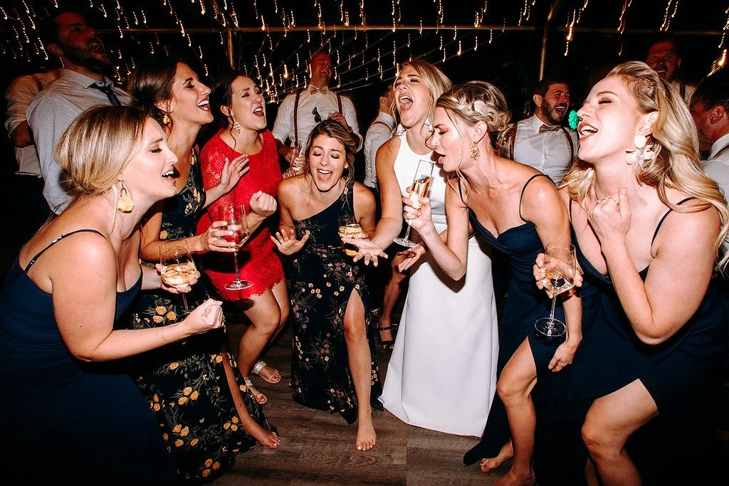 girls drinking, wedding revels, wedding celebration, drinking at a wedding, partiers with alcohol, singing at a wedding, party animals, friends drinking together